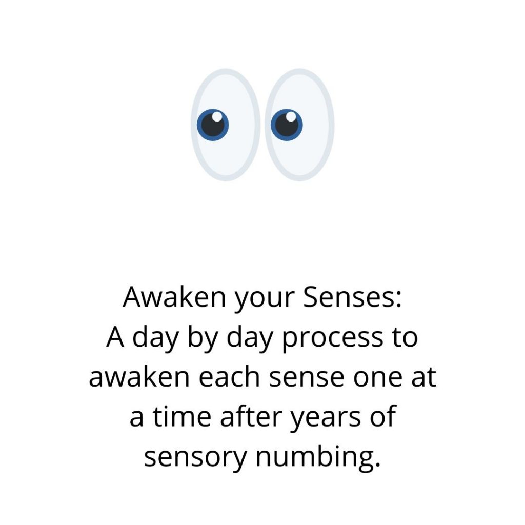 Awaken your Senses