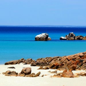 Meelup: Curtis Bay and Bird Rock