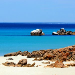 Meelup: Curtis Bay and Bird Rock