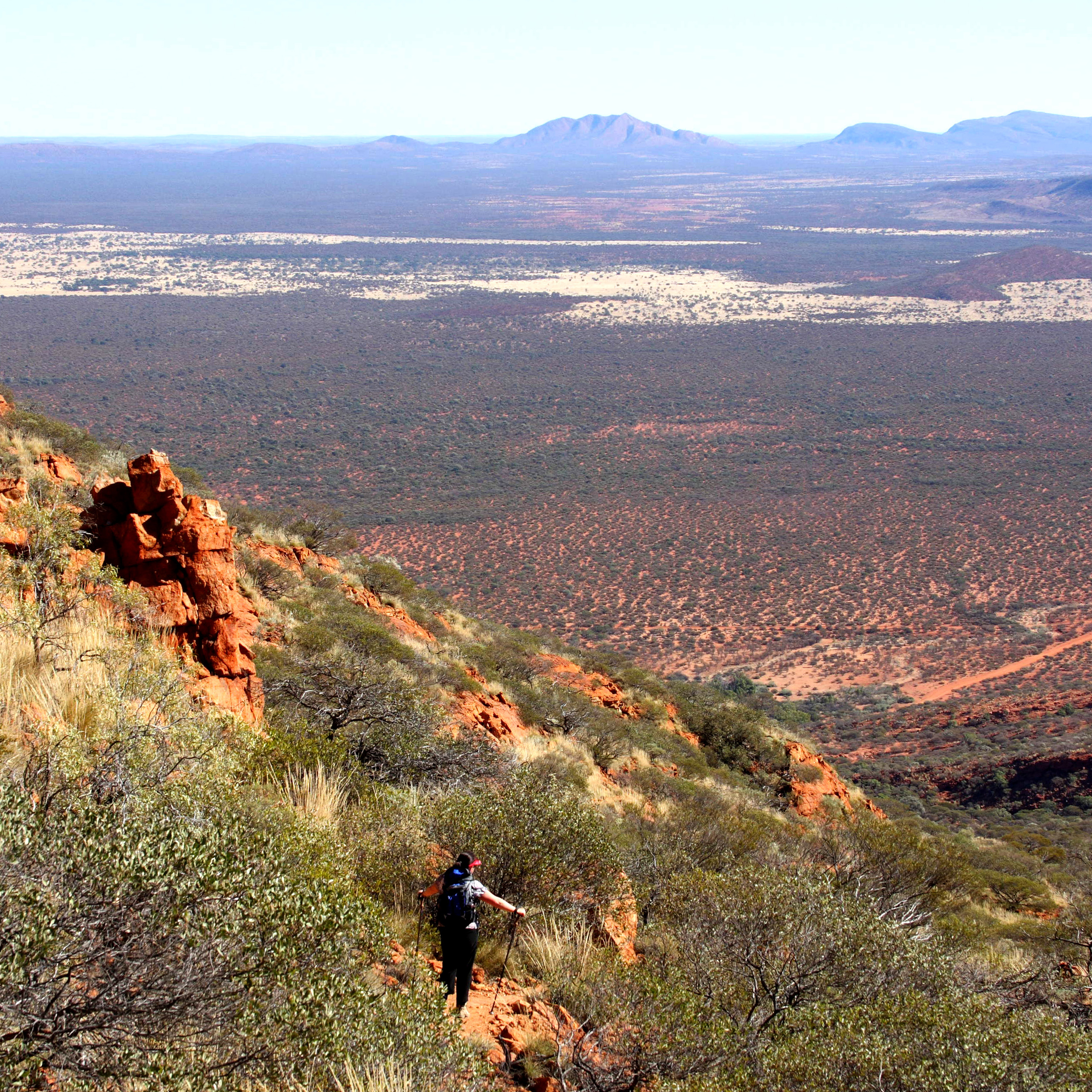 Summit Trail