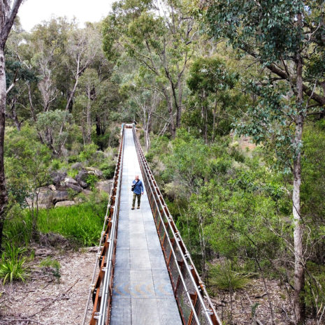 Collie bridge2