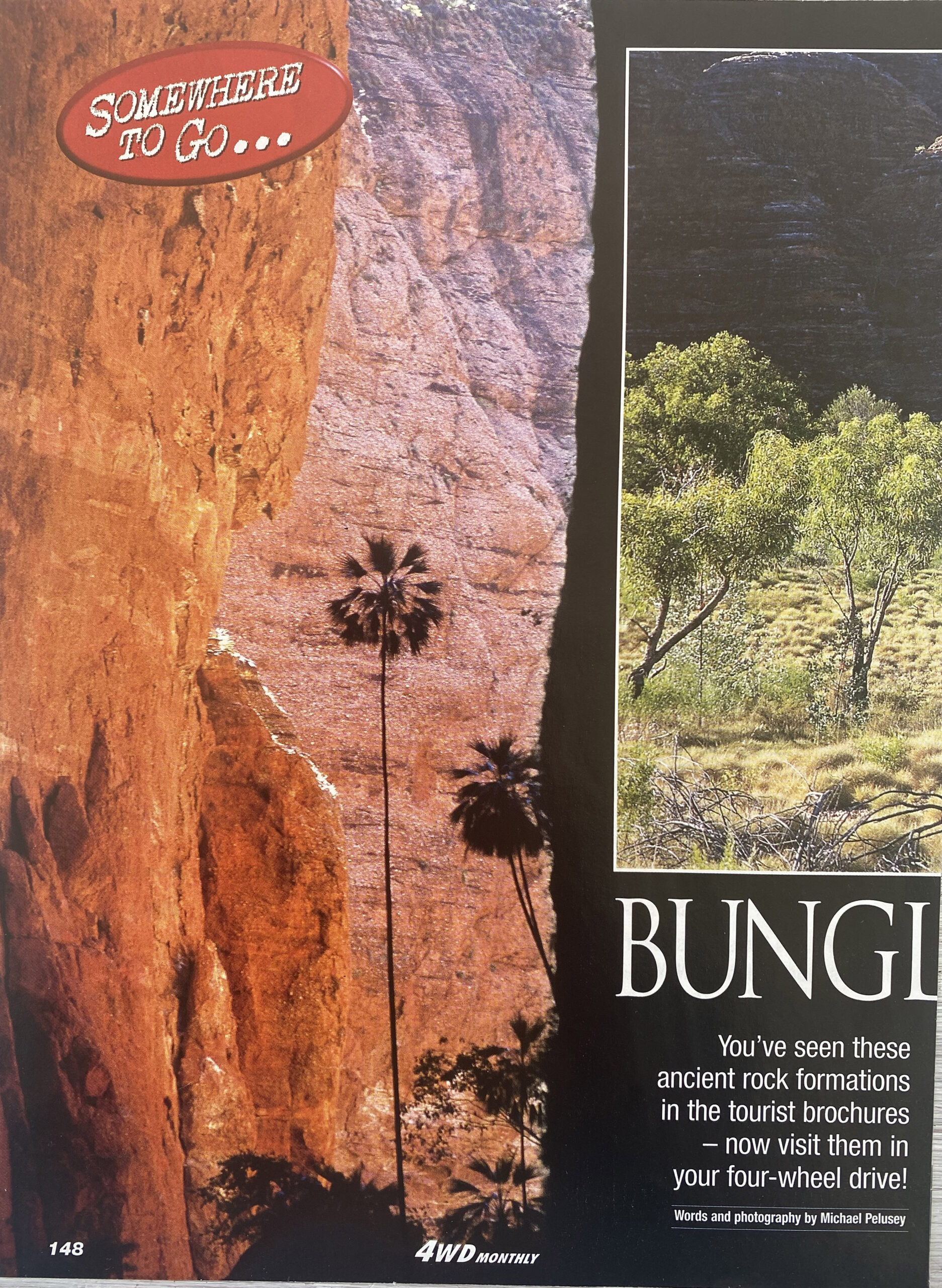 Bungles 1