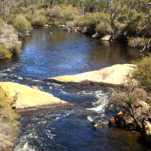 Collie River 2