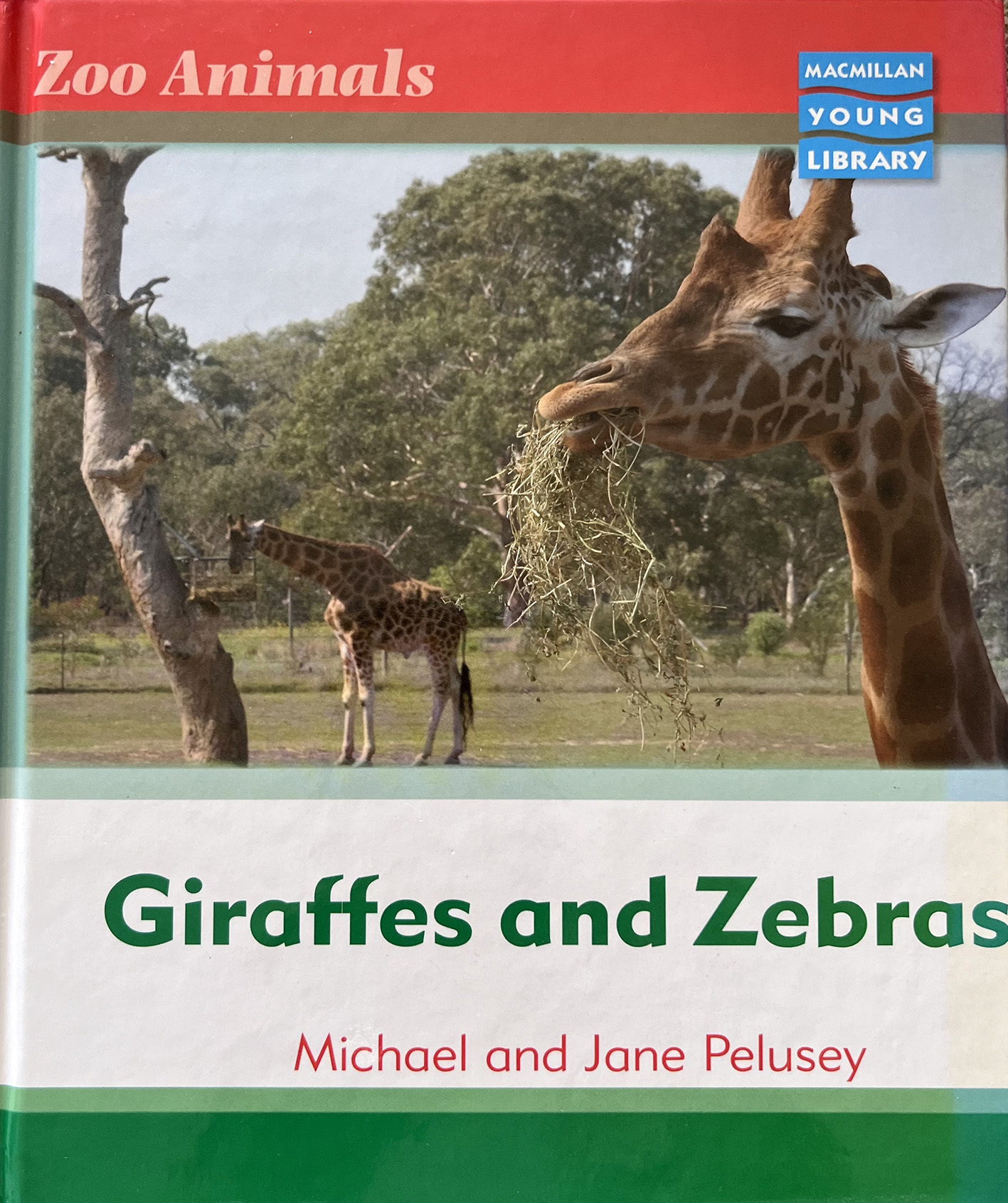 Giraffes and Zebras