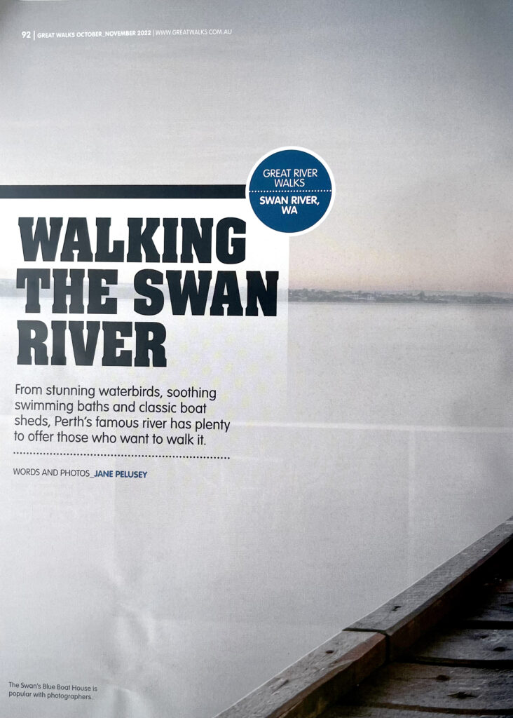 Swan Walk1